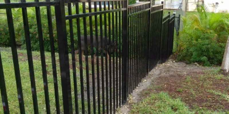 pet retainer fence